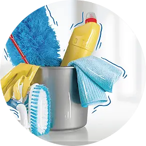 Professional Cleaning Services in Hamilton