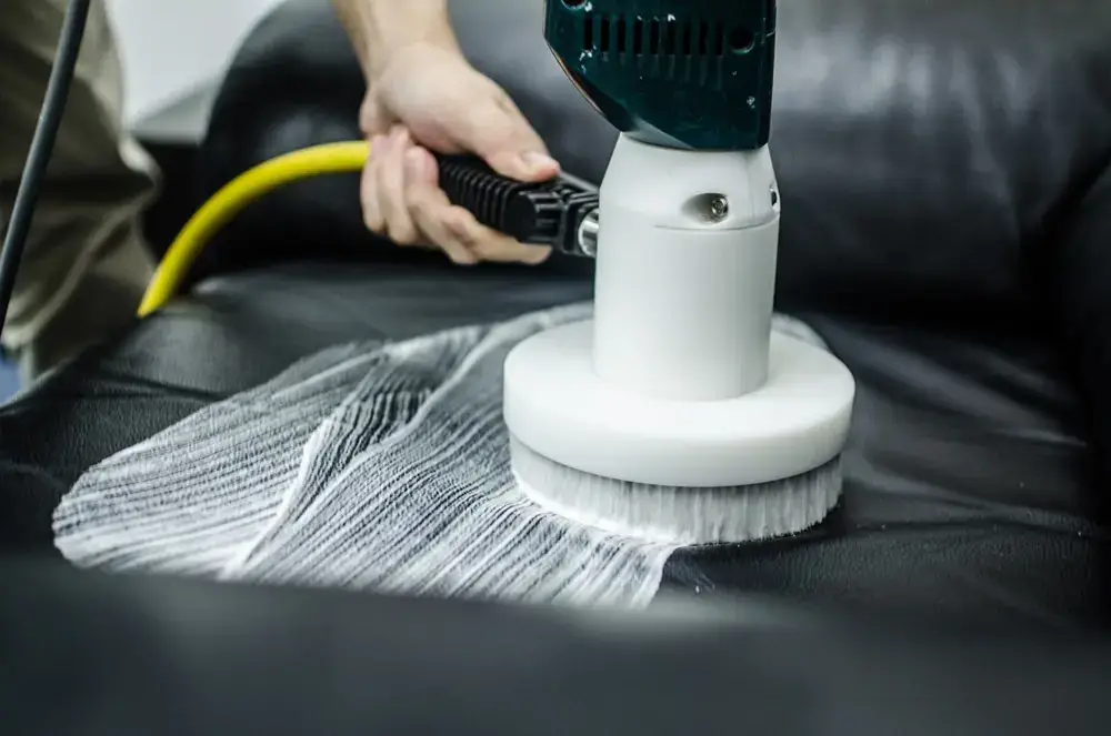 Professional Upholstery Cleaning in Hamilton