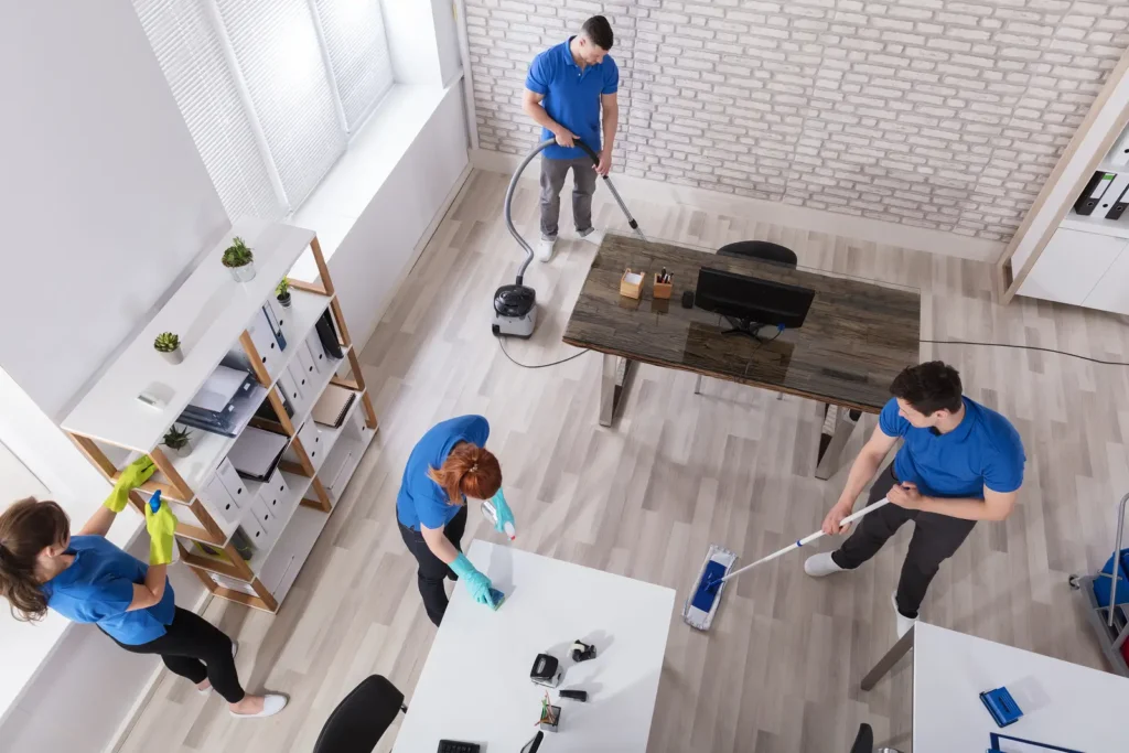 Residential Cleaning Services Hamilton