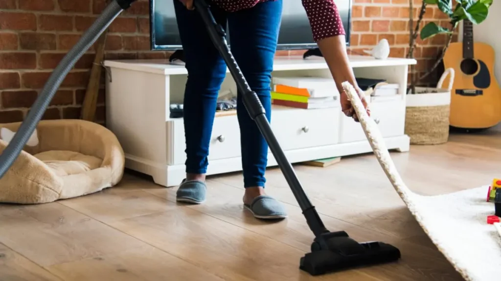 Apartment cleaning service in Hamilton