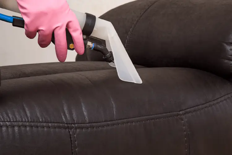 Professional Upholstery Cleaning in Hamilton